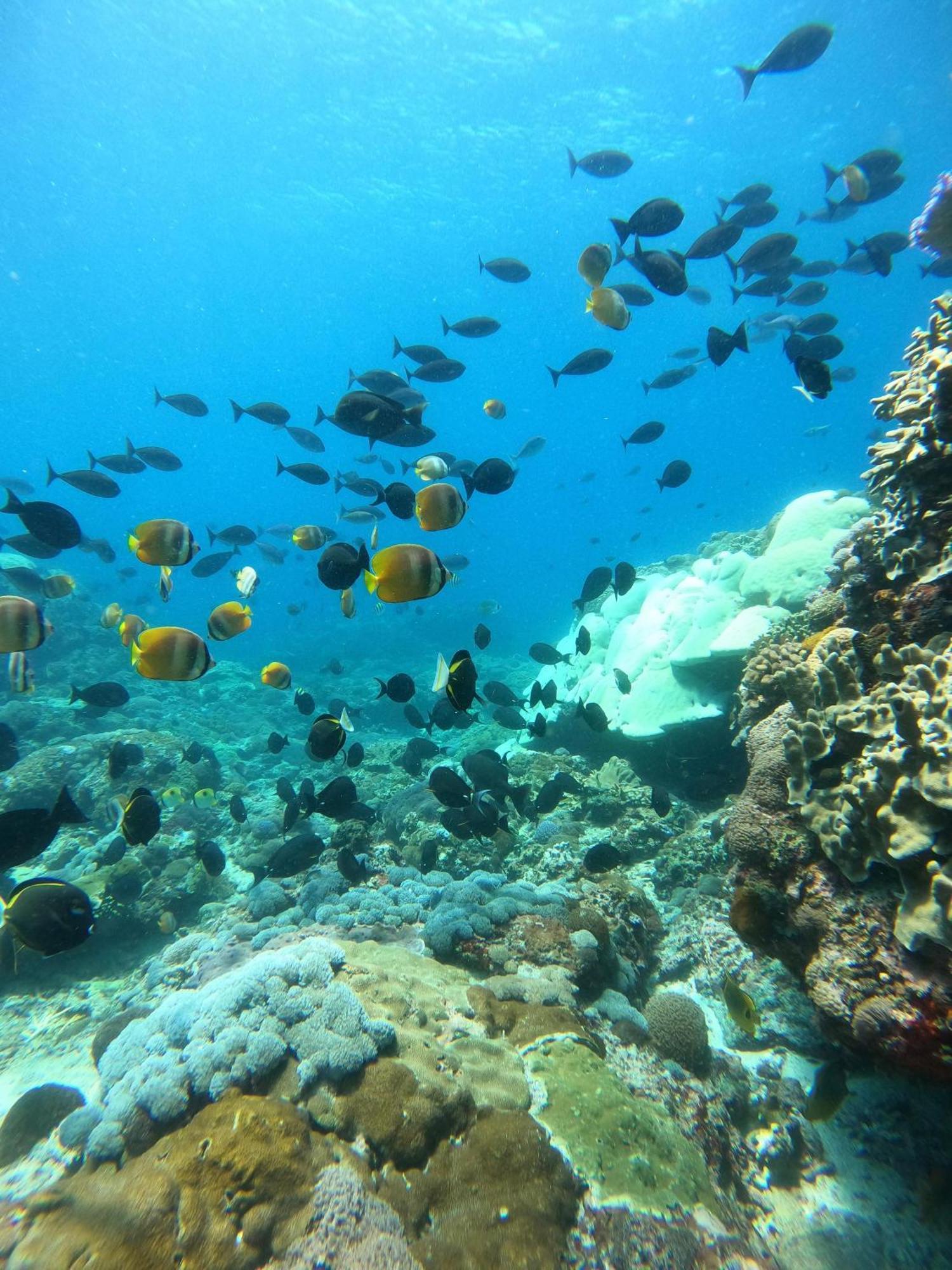 The Edge Lembongan Βίλα Εξωτερικό φωτογραφία